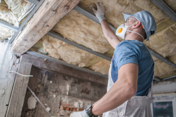 Best Commercial Insulation in Union Park, FL