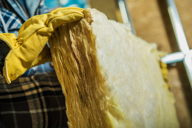 Best Specialty Insulation in Union Park, FL