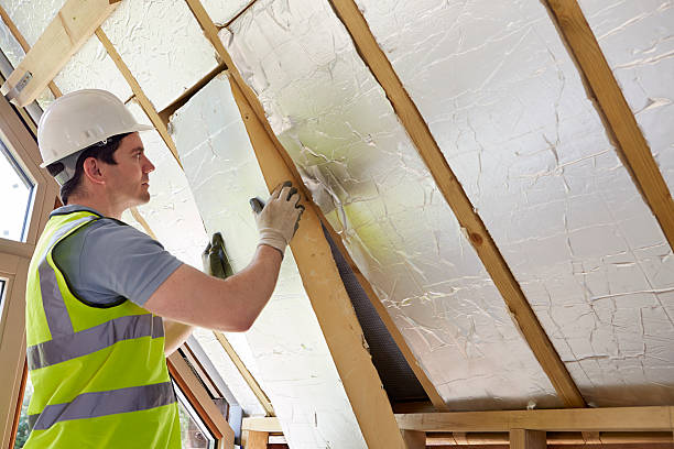 Best Insulation Materials and Products in Union Park, FL